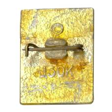 Значок А.С. Грин (реверс)