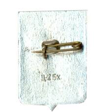 Значок Боровичи (вид 2)