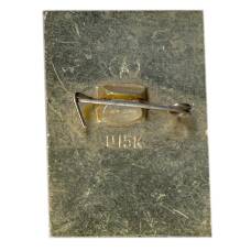 Значок Нерль (вид 2)