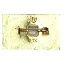 Значок Хоста -курорт (вид 2)