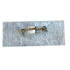 Значок Ростов на Дону (вид 2)