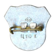 Значок Рига (вид 2)