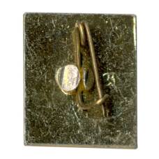 Значок Волгоград (вид 2)