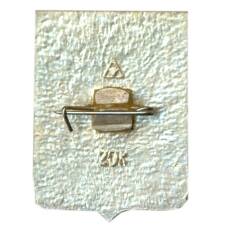 Значок Кострома (вид 2)