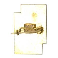 Значок В.С. Стефаник (реверс)