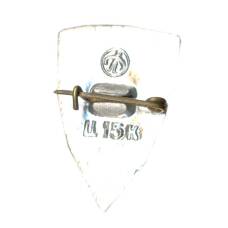 Значок Днепропетровск (вид 2)