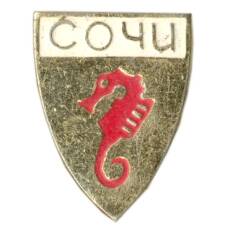 Значок Сочи