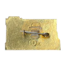 Значок Коломна (вид 2)