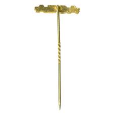 Значок рекламный ASEA (США) (вид 2)