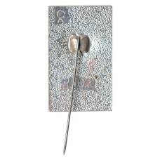 Значок Павловск (вид 2)