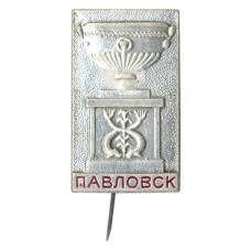 Значок Павловск