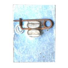 Значок Волгоград (вид 2)