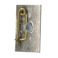 Значок Беловежская Пуща (вид 2)