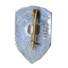 Значок Брест (вид 2)