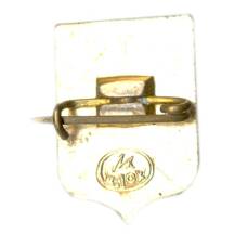 Значок Владимир (вид 2)