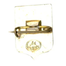 Значок Владимир (вид 2)