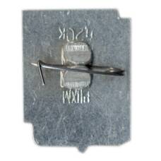 Значок Ростов-на-Дону (вид 2)