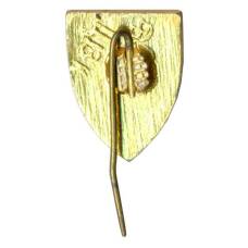 Значок Днепр (вид 2)