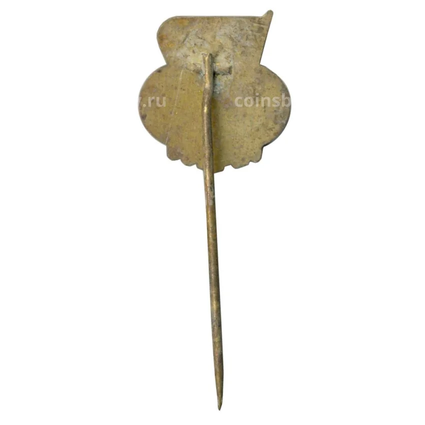 Значок ТВ Чехословакия (вид 2)