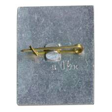 Значок Сочи (вид 2)