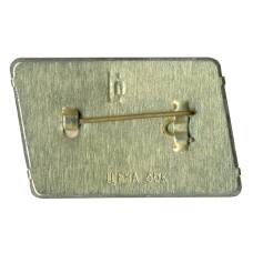 Значок Петродворец (вид 2)