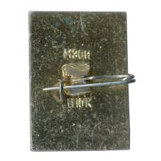 Значок Кострома (вид 2)