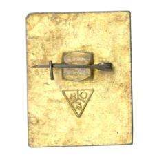 Значок Владимир (вид 2)