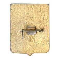 Значок Юрьев (вид 2)