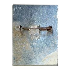 Значок Смольный (вид 2)