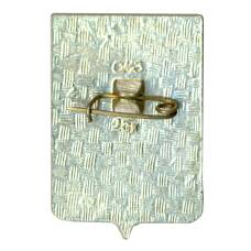 Значок Ельня (вид 2)