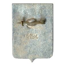 Значок Боровичи (вид 2)