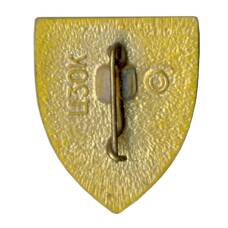 Значок Симферополь (вид 2)