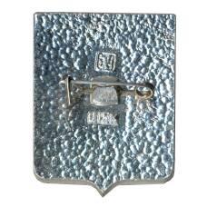 Значок Камышин (вид 2)