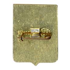 Значок Арзамас (вид 2)