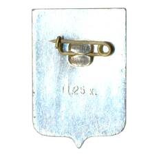 Значок Новгород (вид 2)