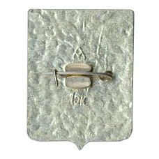 Значок Владимир (вид 2)