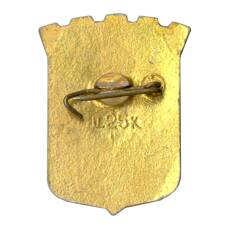 Значок Днепропетровск (вид 2)