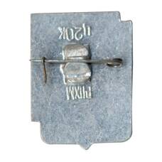 Значок Ростов на Дону (вид 2)