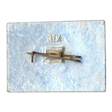 Значок Панорама Рязанского кремля (вид 2)