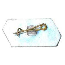 Значок Кубань (вид 2)