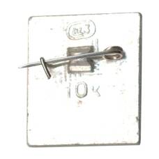 Значок Шушенское (вид 2)