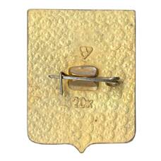 Значок Ковров (вид 2)