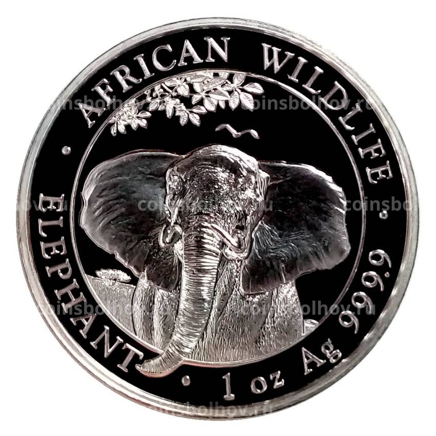 Монета 100 шиллингов 2021 года Сомали «Африканская дикая природа — Африканский слон»