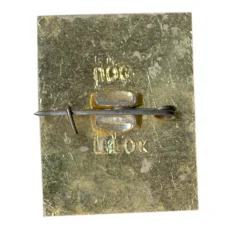 Значок Железноводск (вид 2)