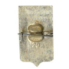 Значок Данилов (вид 2)