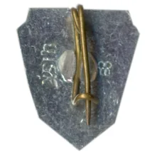 Значок Волгоград (вид 2)