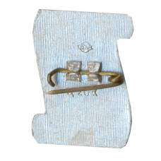 Значок Рига (вид 2)