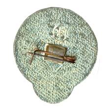 Значок Российская аэростатная группа Экосфера (вид 2)