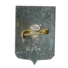 Значок Новгород (вид 2)