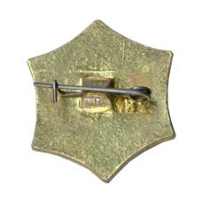 Значок Куйбышев (вид 2)